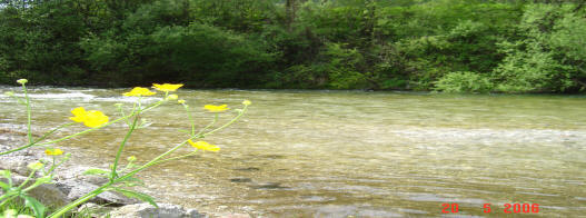 Flussufer am Campingplatz